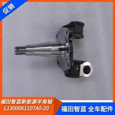 FOTON福田新能源智蓝电车全车配件羊角轴转向节带衬套L1300061107