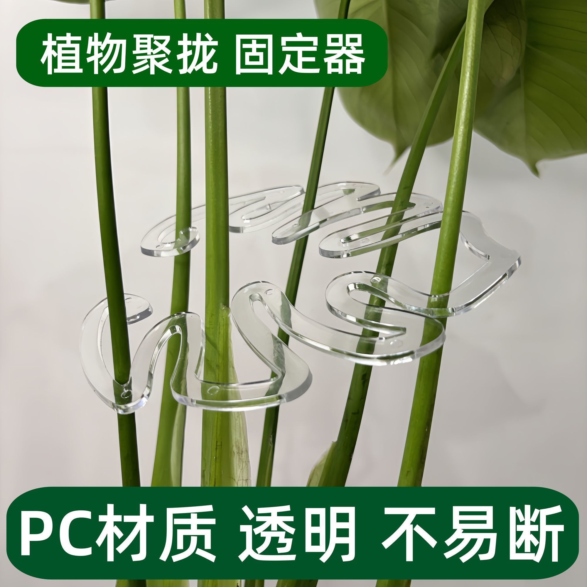 龟背竹定型支撑杆防倒伏支架枝干收拢绿植固定器花架实用工具