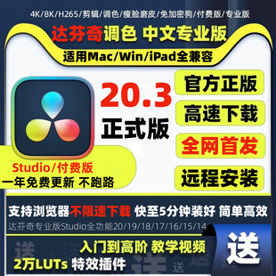 18中文专业版 激活 远程安装 达芬奇调色正版 Mac Win 软件20