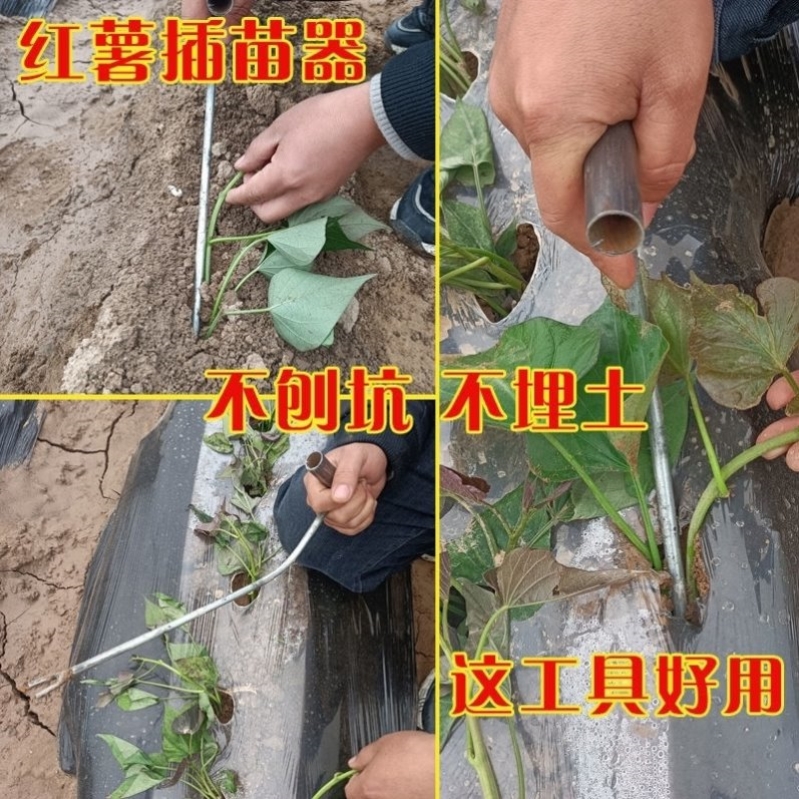 红薯栽苗器地瓜插苗器蔬菜种植工具叉子平栽工具葱苗栽苗神器