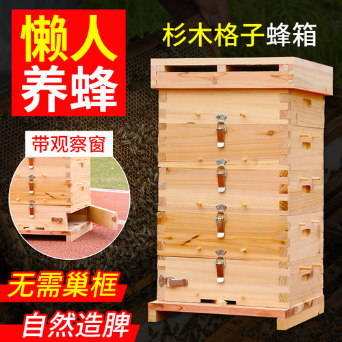 无需巢框自然造脾格子蜂箱