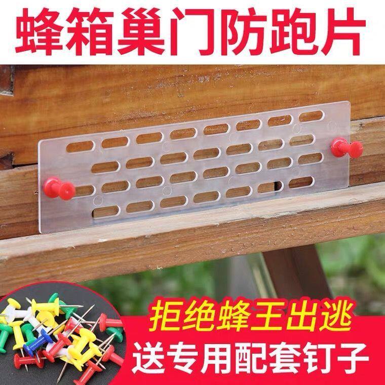 中蜂防逃片多功能蜂王意蜂防逃片隔王栅标准专用隔王片蜂箱配件