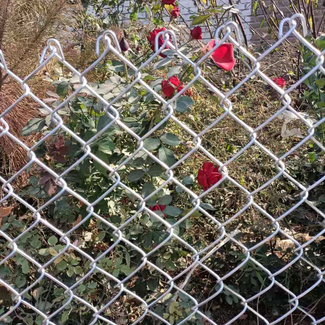 镀锌铁丝网勾花网钢丝网养殖羊牛猪栏网果园围栏栅栏网鱼塘防护网