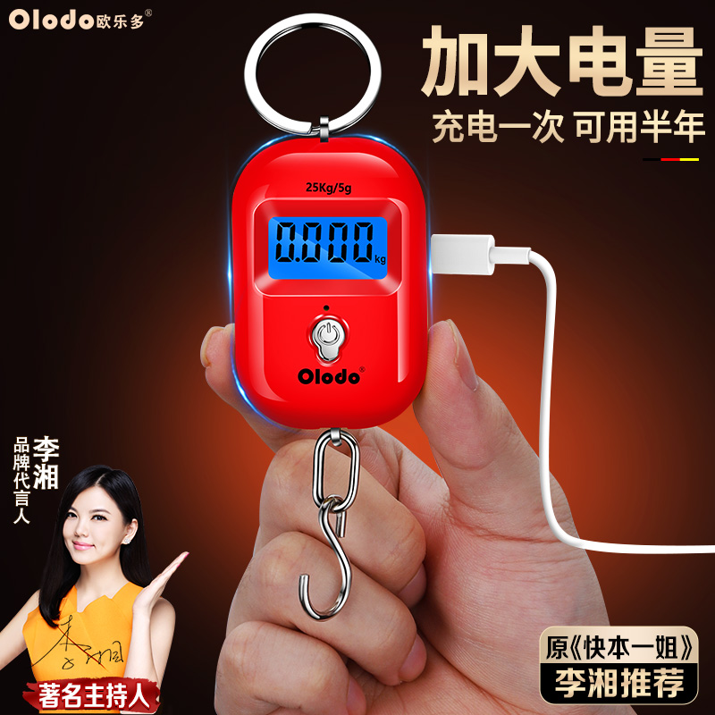 迷你手提电子秤高精度家用便携式小型弹簧秤25kg买菜挂秤随身钩称
