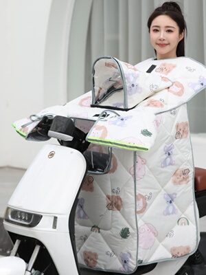 四季亲子款电动摩托车挡风被春秋薄棉防水儿童带小孩电瓶车防风罩