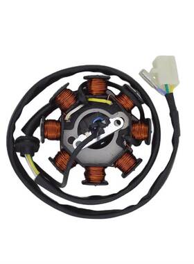 GOOFIT SPACY R100 R 100 8极全波直流定子线圈2003-2007