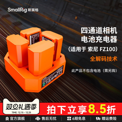 斯莫格NP-FZ100相机电池充电器