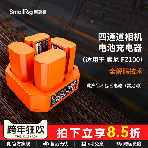 斯莫格NP-FZ100相机电池充电器