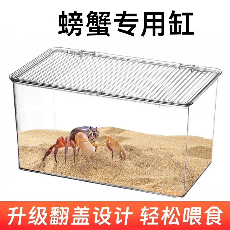 爬宠相手蟹专用缸螃蟹生态缸宠物寄居蟹饲养箱小别墅沙蟹饲养盒子
