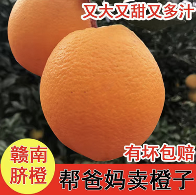 正宗赣南脐橙产地直发新鲜时令礼盒装自家果园江西水果应季橙子