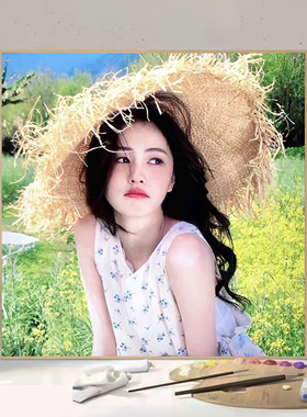 白鹿新款周边diy数字油画手绘填充涂色画礼物房间卧室客厅装饰画