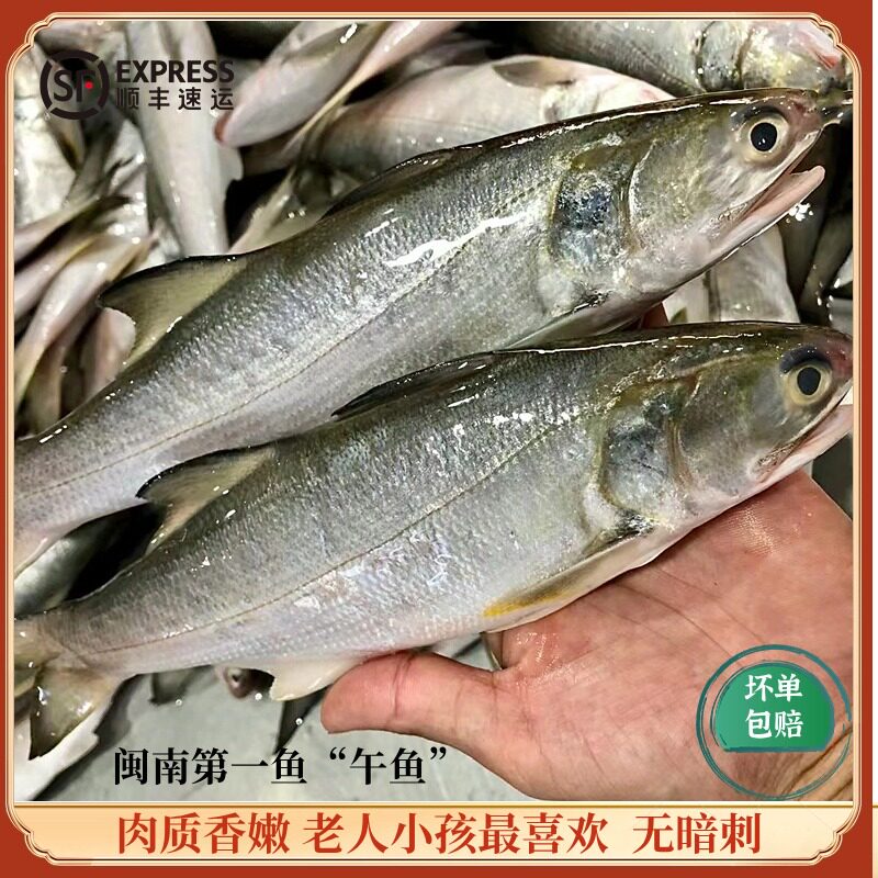 东山岛海鲜水产品海钓午鱼鲜活活冻海捕马友鱼午笋鱼酒店餐厅商用