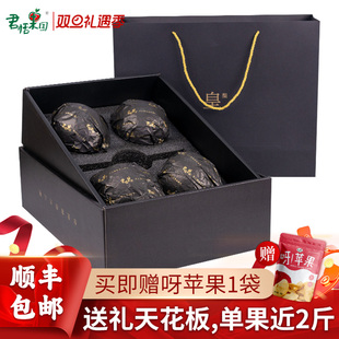 君恬果园至尊皇梨烟台莱阳梨单果近2斤高端水果礼盒特产礼品4颗装