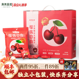 广兴果园山东烟台樱桃干车厘子果干礼盒礼品福利100g 袋