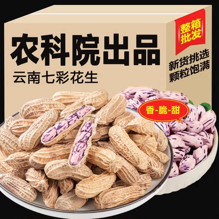 正宗云南七彩花生牛奶花生富硒花生新鲜晒干五彩生花生带壳新鲜