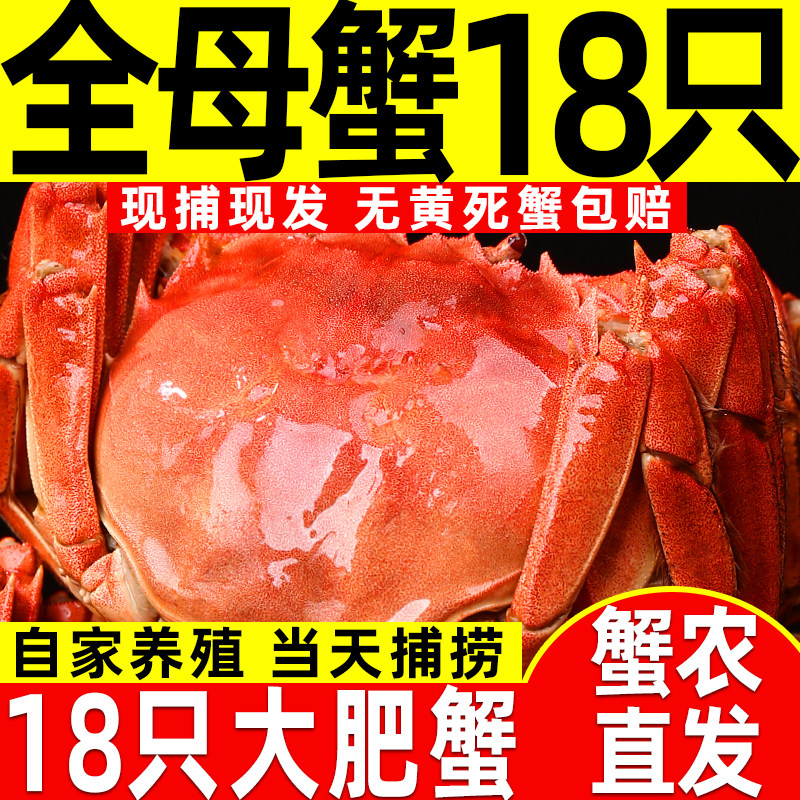 【活蟹】18只鲜活螃蟹现货大闸蟹全母蟹湖蟹送礼含绳红膏河蟹包邮