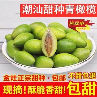 新鲜潮汕金灶水果甜种青橄榄生吃酥脆无渣回甘2号青果孕妇二号榄