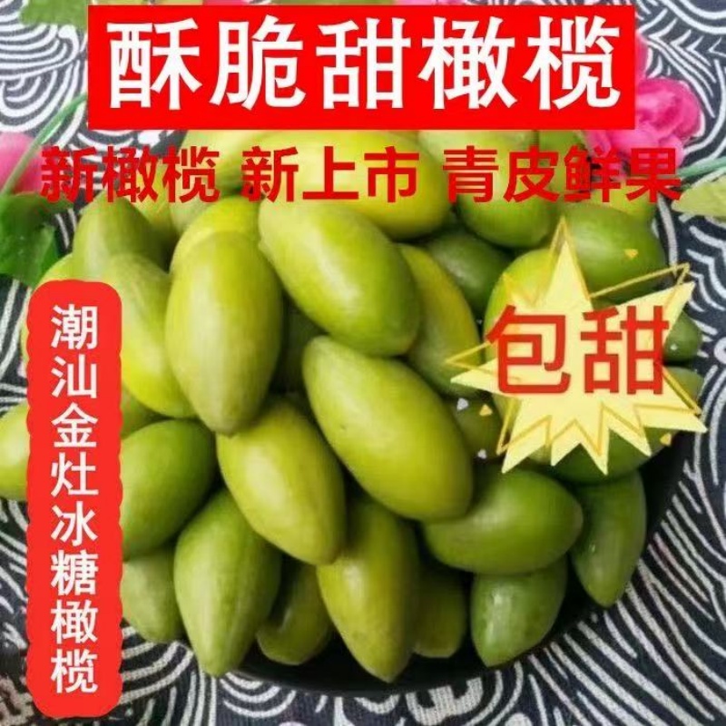 正宗金灶潮汕甜种冰糖香橄榄甘甜无渣酥脆生吃零食天然水果青橄榄
