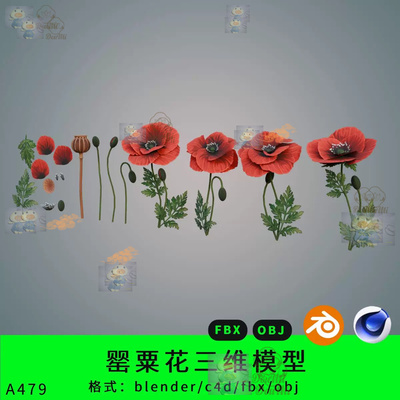 罂粟花三维模型自动发3d素材blender/c4d/fbx/obj虞美人植物写实