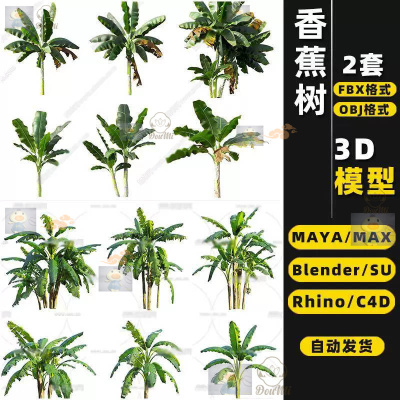 MAYA香蕉芭蕉树SU景观树植物C4D犀牛blend/3dmax模型FBX unity3D