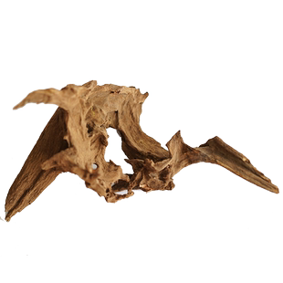 枯木朽木木雕根雕沉木插花器禅意摆件微景观造景树根中华花艺花器