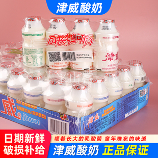 津威贵州特产葡萄糖酸锌乳酸菌饮料95ml/150ml金威酸奶一整箱批发