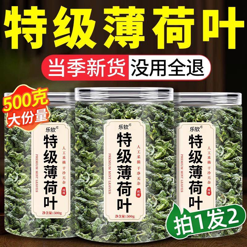 薄荷叶干新鲜食用凉茶清热降火解去火的茶包下火中药材排毒养肝xl