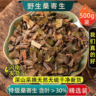 野生桑寄生中药材500克/250/100g桑树桑寄生正品新货功效槲桑寄生