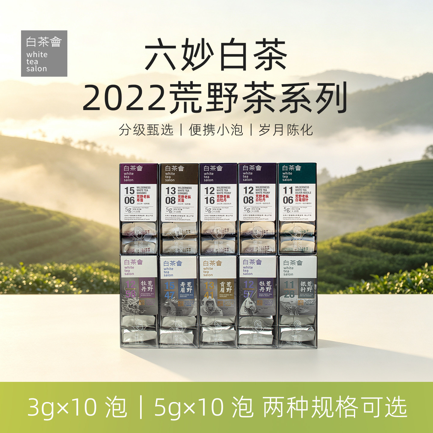 六妙白茶会2022年荒野茶图片
