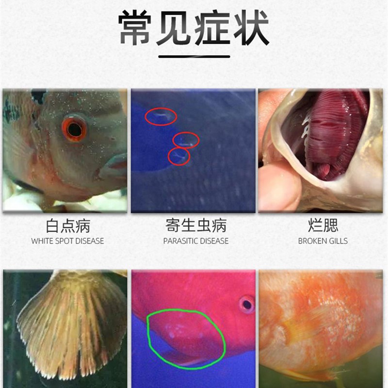 亚甲基蓝水族鱼专用水霉病白点病鱼药烂身烂尾专治白点净杀菌 宠物/宠物食品及用品 其他益生菌 原图主图