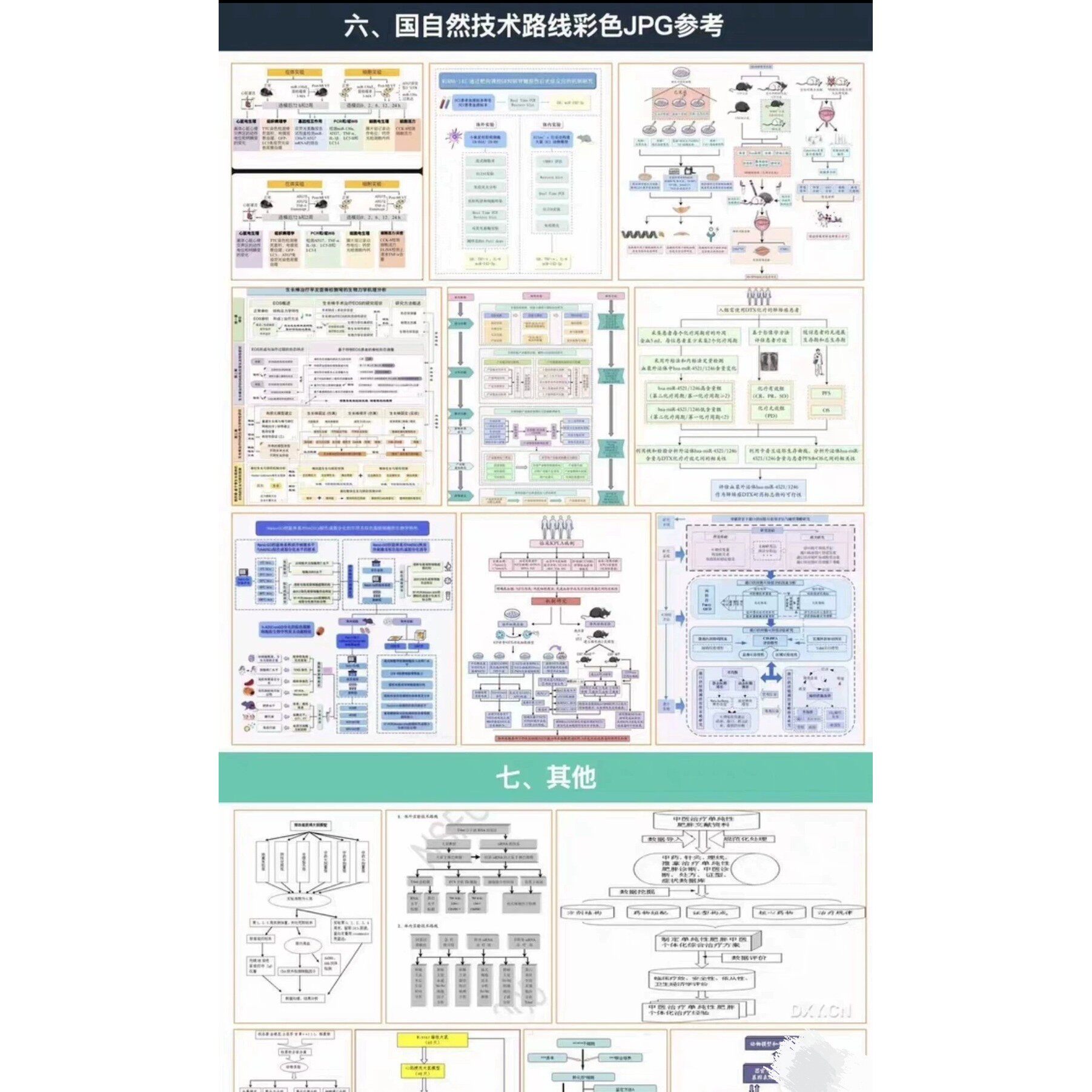 青基T1高质量可编辑科研绘图国自然技术路线图模板
