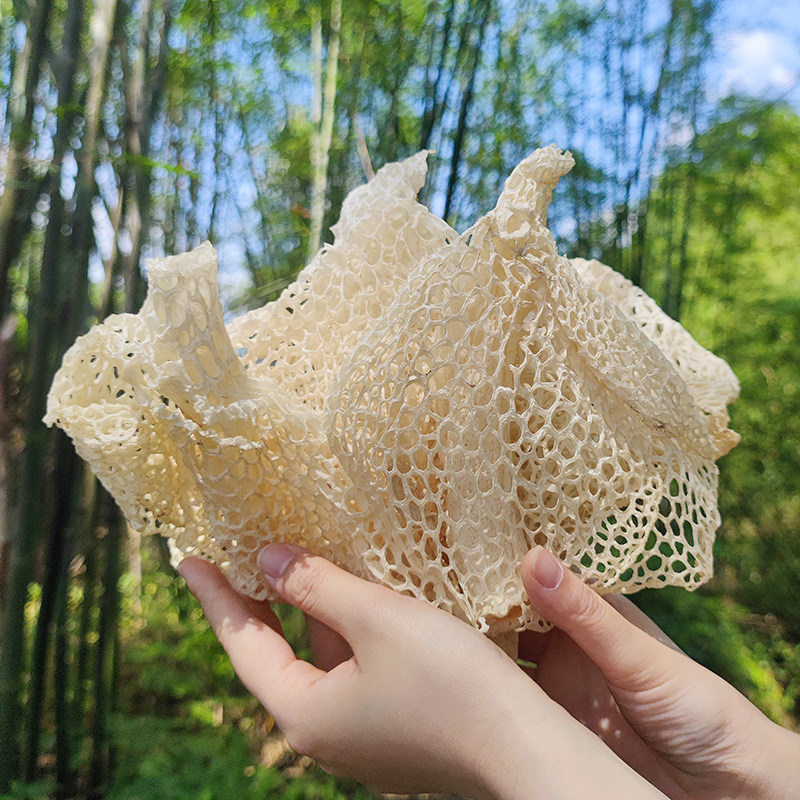 长裙竹荪宜宾特产蜀南竹海竹荪无硫无异味四川特产长宁野生干货