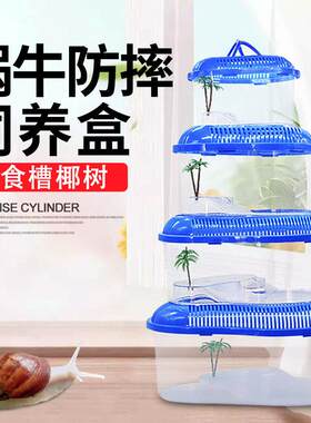 白玉蜗牛生态缸小屋饲养盒乌龟箱宠物房子窝甲虫养的家盒子箱别墅