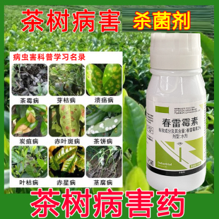 茶树病害春雷霉素杀菌剂锈病软腐病赤星病炭疽病霜霉病茶叶树正品