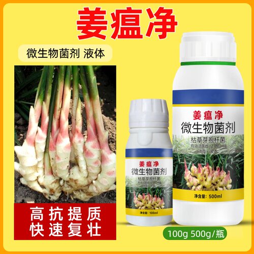 生姜沙姜姜瘟净药生姜烂脖子病姜瘟病茎基腐病根腐病枯萎黄叶正品