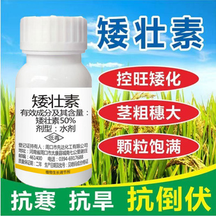 矮壮素作物生长调节剂控制旺长防治徒长小麦玉米花生红薯通用正品