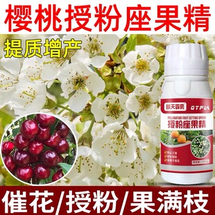 樱桃授粉座果精促花防裂防落果樱桃车厘子草莓授粉药厂家直销农用