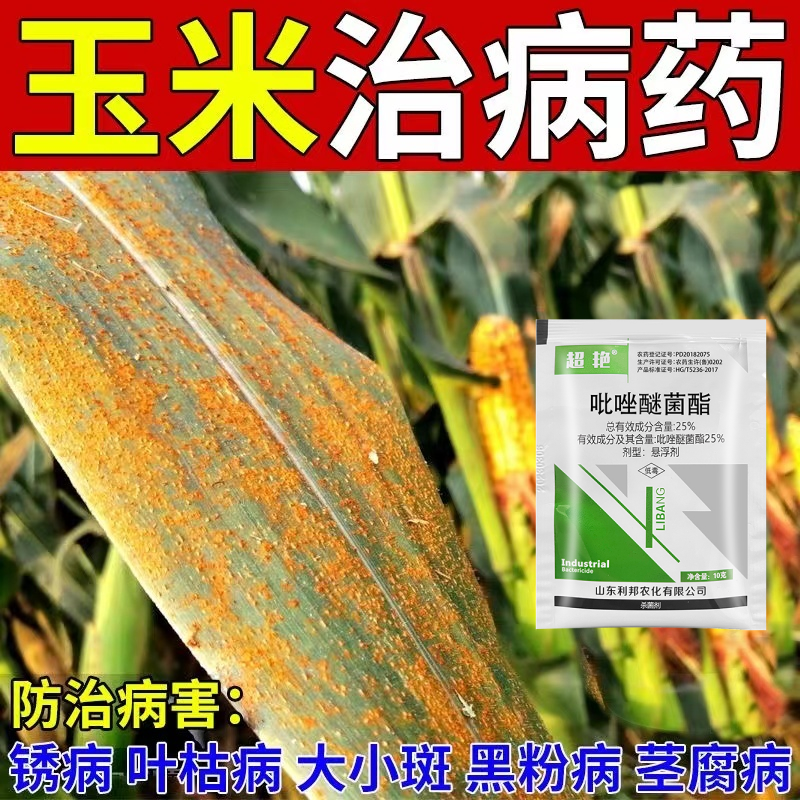 玉米病专用杀菌剂锈病叶枯病黑粉病茎腐病抗病增产玉米专用杀菌