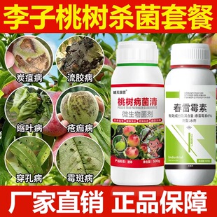 桃树病菌清桃树李子树杀菌剂炭疽病流胶病缩叶病穿孔病农药正品