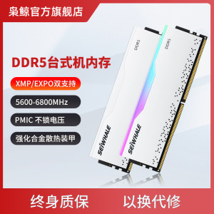 枭鲸审判者ddr5台式机内存条