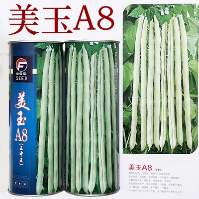 丰倍特美玉A8王中王架豆种子高产豆角种子无筋架豆王四季豆芸豆籽