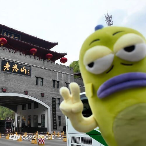 无情比耶路人鱼拍照打卡毛绒公仔