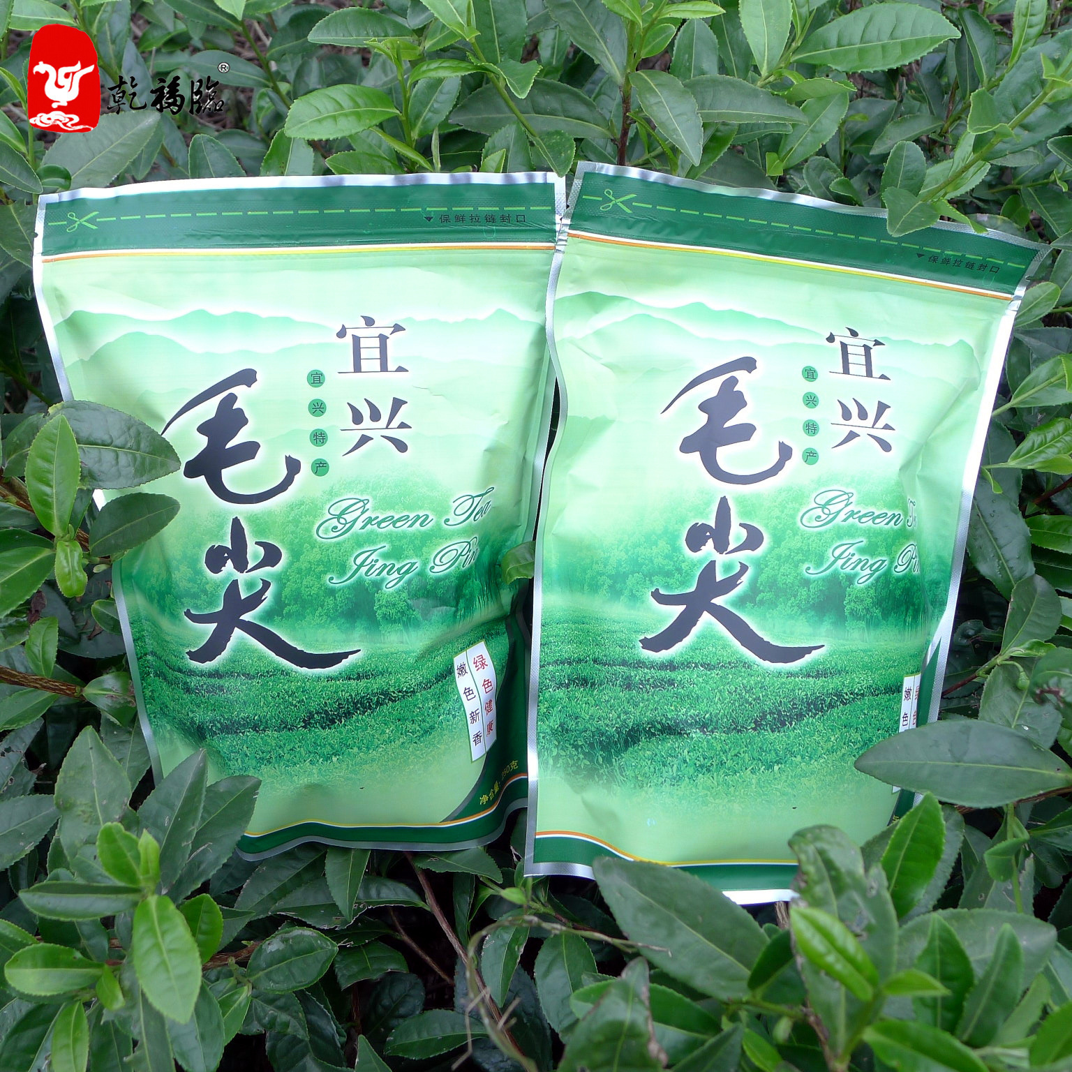2025年新茶宜兴毛尖绿茶明前炒青春茶茶叶浓香型袋装散装500g包邮
