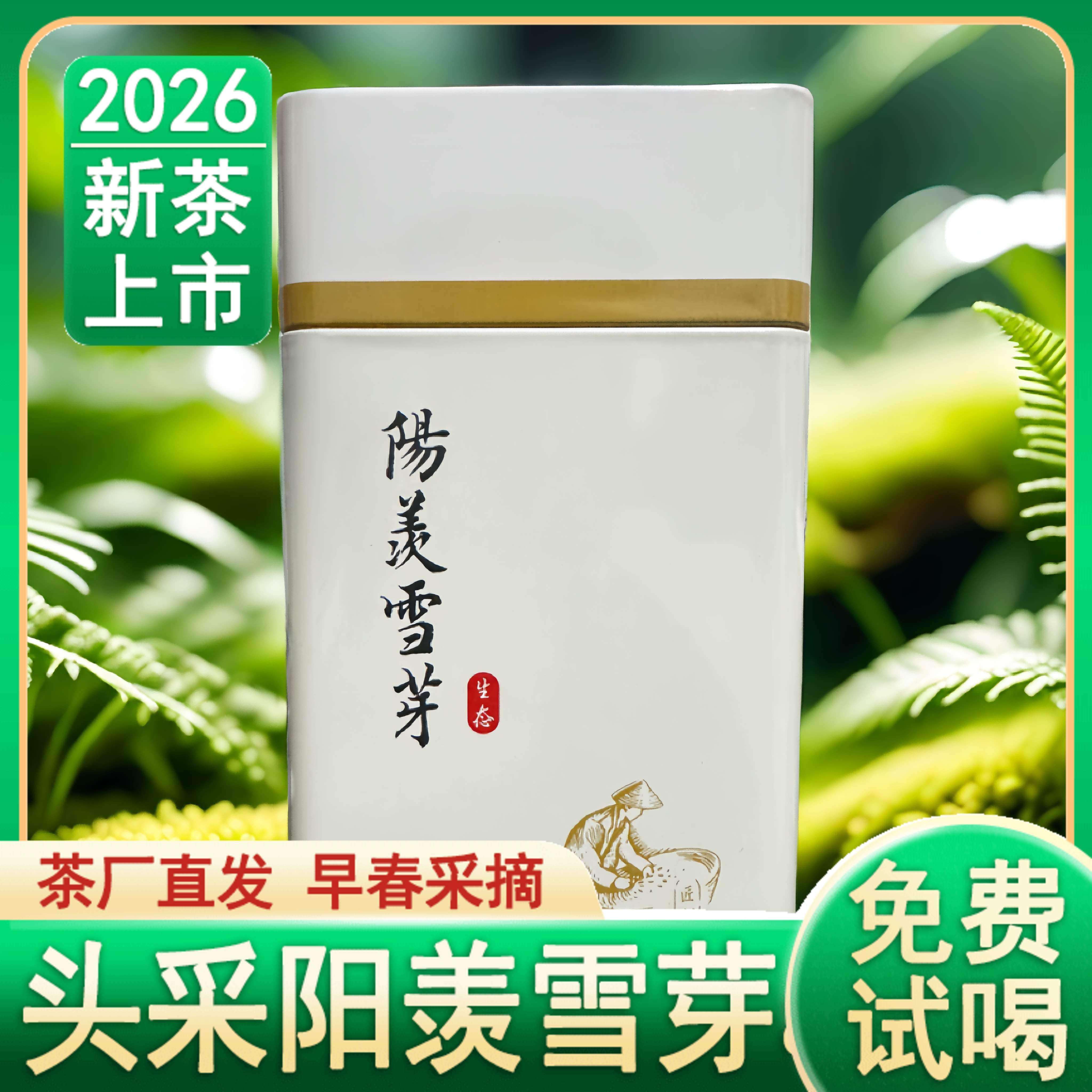 2026阳羡雪芽茶早春绿茶叶新茶明前翠芽嫩芽宜兴特级罐装100g包邮