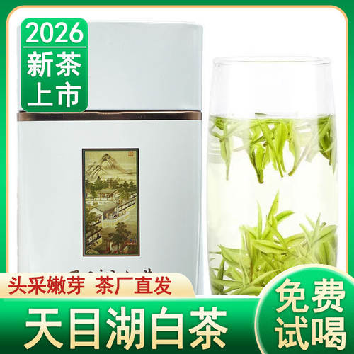 2026明前特级天目湖白茶新茶上新