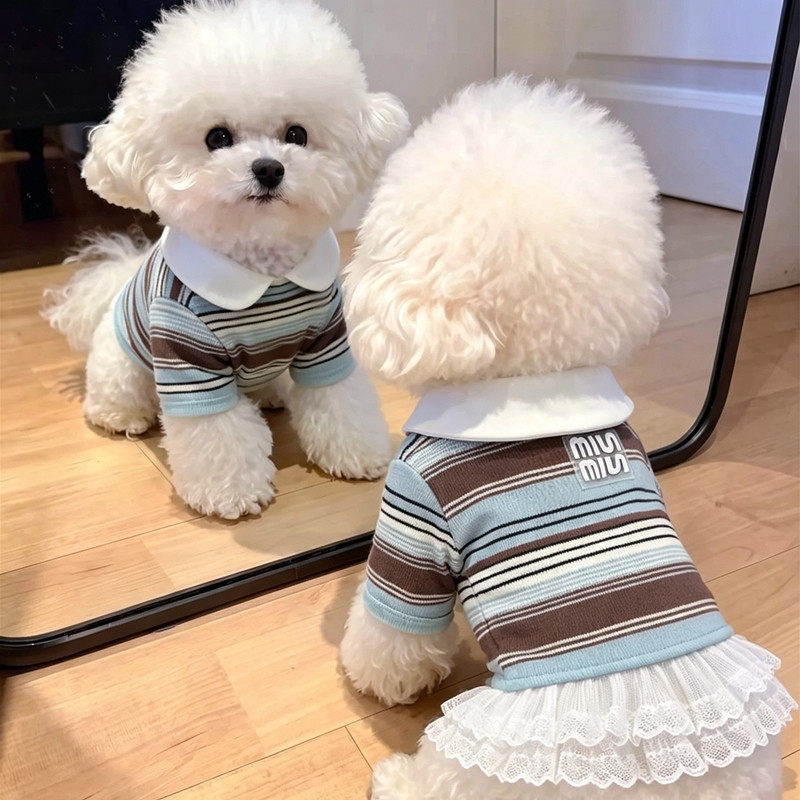 宠物情侣装polo衫T恤泰迪比熊裙子马尔泰小型犬秋季猫咪狗狗衣服