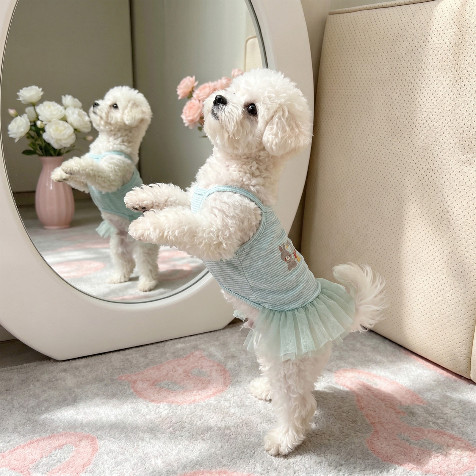 星尧柯基柴犬比熊泰迪狗狗衣服宠物公主裙春夏薄款背心防晒防掉毛