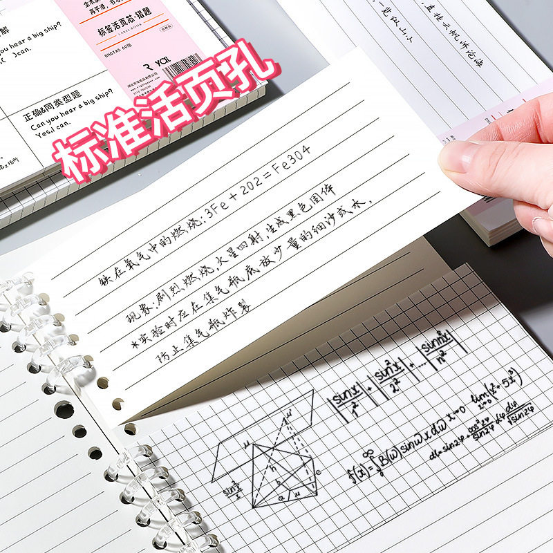 莱特活页纸替芯可拆卸活页夹标签