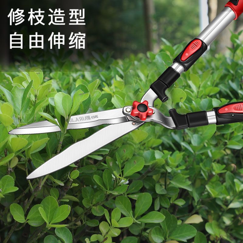 果树剪枝专用剪刀剪树枝工具大号图片