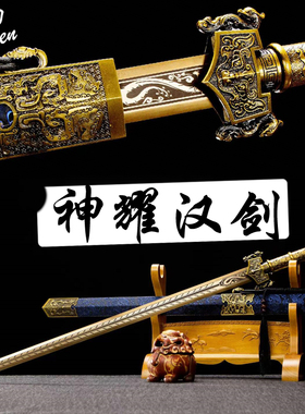 龙泉宝剑手工古代剑冷兵器未开刃